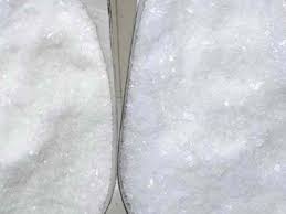 Procaine Base